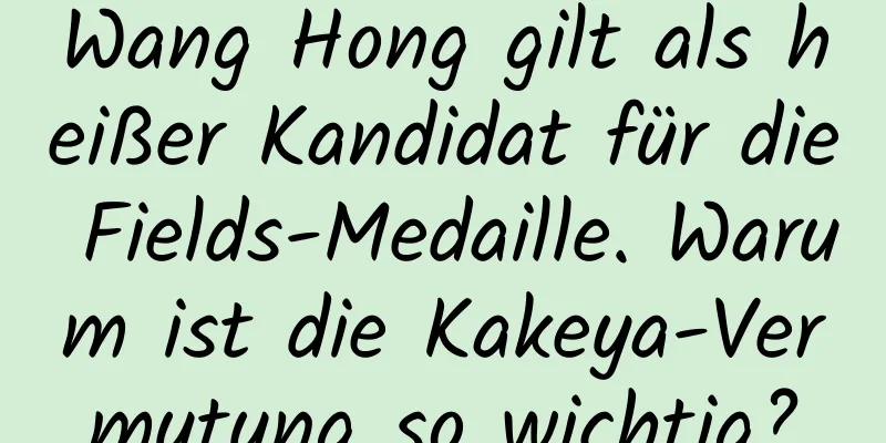 Wang Hong gilt als heißer Kandidat für die Fields-Medaille. Warum ist die Kakeya-Vermutung so wichtig?