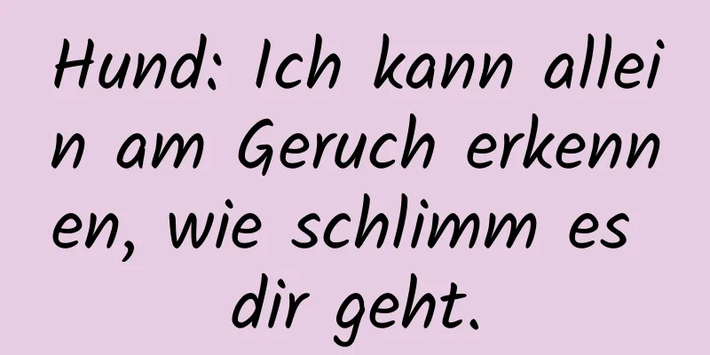 Hund: Ich kann allein am Geruch erkennen, wie schlimm es dir geht.
