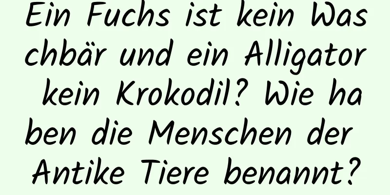 Ein Fuchs ist kein Waschbär und ein Alligator kein Krokodil? Wie haben die Menschen der Antike Tiere benannt?