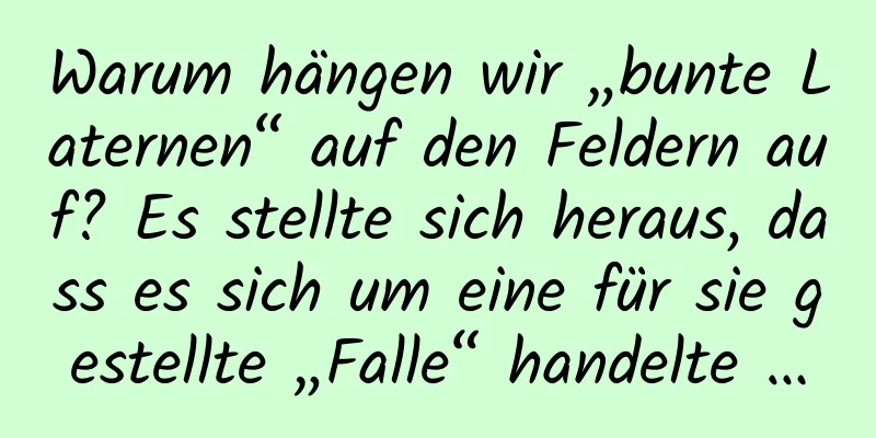 Warum hängen wir „bunte Laternen“ auf den Feldern auf? Es stellte sich heraus, dass es sich um eine für sie gestellte „Falle“ handelte …
