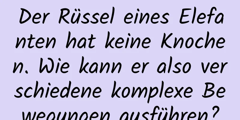 Der Rüssel eines Elefanten hat keine Knochen. Wie kann er also verschiedene komplexe Bewegungen ausführen?