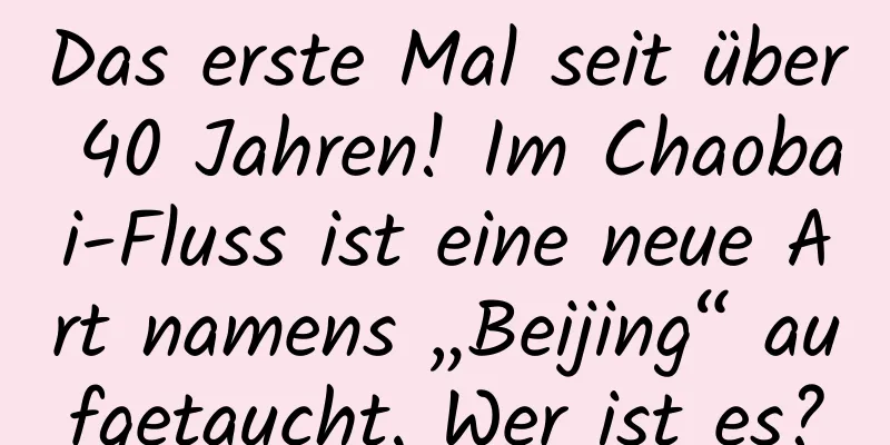 Das erste Mal seit über 40 Jahren! Im Chaobai-Fluss ist eine neue Art namens „Beijing“ aufgetaucht. Wer ist es?