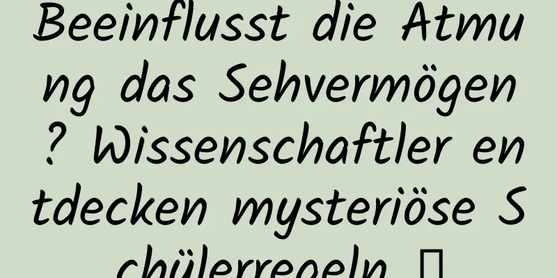 Beeinflusst die Atmung das Sehvermögen? Wissenschaftler entdecken mysteriöse Schülerregeln →