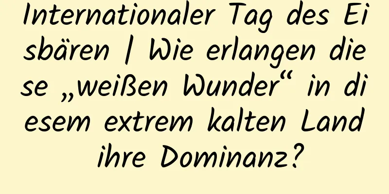 Internationaler Tag des Eisbären | Wie erlangen diese „weißen Wunder“ in diesem extrem kalten Land ihre Dominanz?