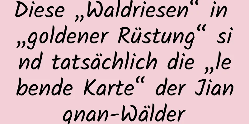 Diese „Waldriesen“ in „goldener Rüstung“ sind tatsächlich die „lebende Karte“ der Jiangnan-Wälder