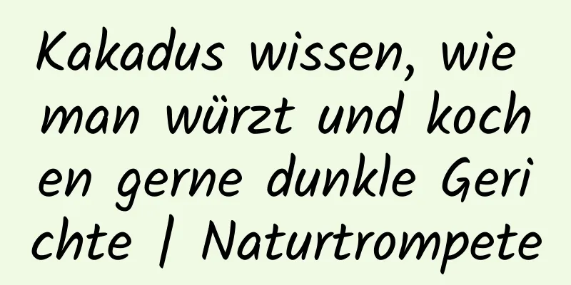 Kakadus wissen, wie man würzt und kochen gerne dunkle Gerichte | Naturtrompete