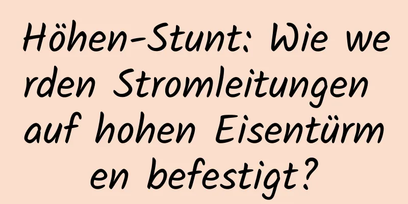 Höhen-Stunt: Wie werden Stromleitungen auf hohen Eisentürmen befestigt?