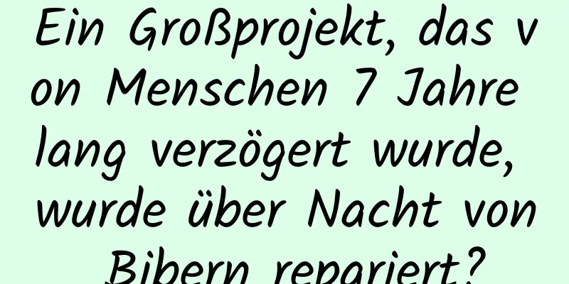Ein Großprojekt, das von Menschen 7 Jahre lang verzögert wurde, wurde über Nacht von Bibern repariert?