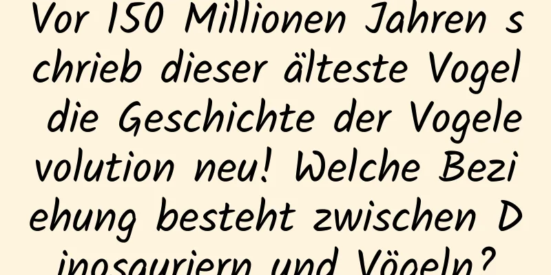 Vor 150 Millionen Jahren schrieb dieser älteste Vogel die Geschichte der Vogelevolution neu! Welche Beziehung besteht zwischen Dinosauriern und Vögeln?