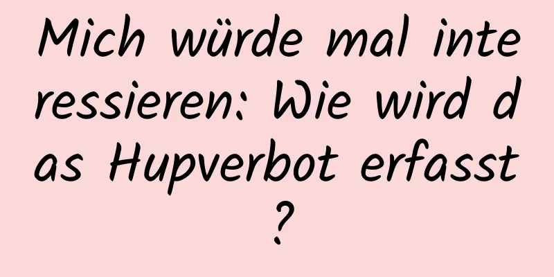 Mich würde mal interessieren: Wie wird das Hupverbot erfasst?