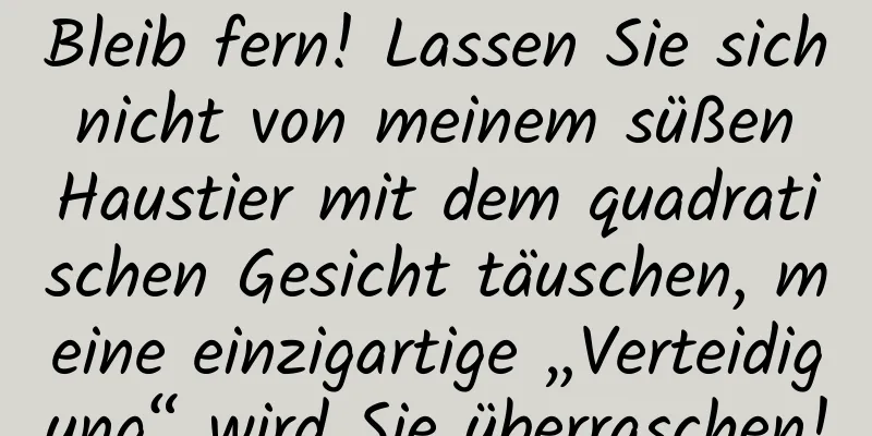 Bleib fern! Lassen Sie sich nicht von meinem süßen Haustier mit dem quadratischen Gesicht täuschen, meine einzigartige „Verteidigung“ wird Sie überraschen!