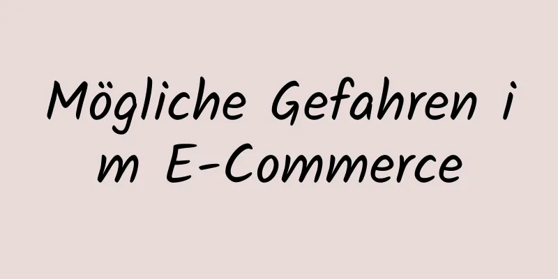 Mögliche Gefahren im E-Commerce