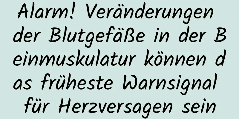 Alarm! Veränderungen der Blutgefäße in der Beinmuskulatur können das früheste Warnsignal für Herzversagen sein