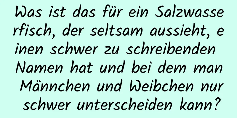 Was ist das für ein Salzwasserfisch, der seltsam aussieht, einen schwer zu schreibenden Namen hat und bei dem man Männchen und Weibchen nur schwer unterscheiden kann?