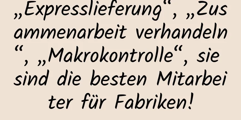 „Expresslieferung“, „Zusammenarbeit verhandeln“, „Makrokontrolle“, sie sind die besten Mitarbeiter für Fabriken!