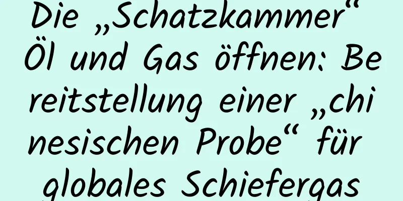Die „Schatzkammer“ Öl und Gas öffnen: Bereitstellung einer „chinesischen Probe“ für globales Schiefergas