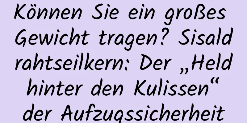 Können Sie ein großes Gewicht tragen? Sisaldrahtseilkern: Der „Held hinter den Kulissen“ der Aufzugssicherheit