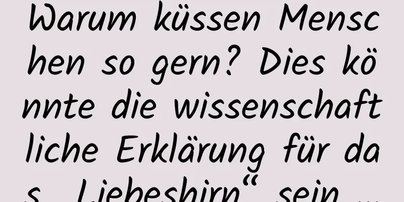 Warum küssen Menschen so gern? Dies könnte die wissenschaftliche Erklärung für das „Liebeshirn“ sein …