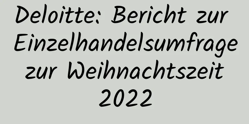 Deloitte: Bericht zur Einzelhandelsumfrage zur Weihnachtszeit 2022