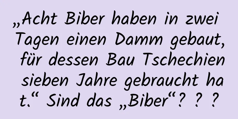 „Acht Biber haben in zwei Tagen einen Damm gebaut, für dessen Bau Tschechien sieben Jahre gebraucht hat.“ Sind das „Biber“? ? ?