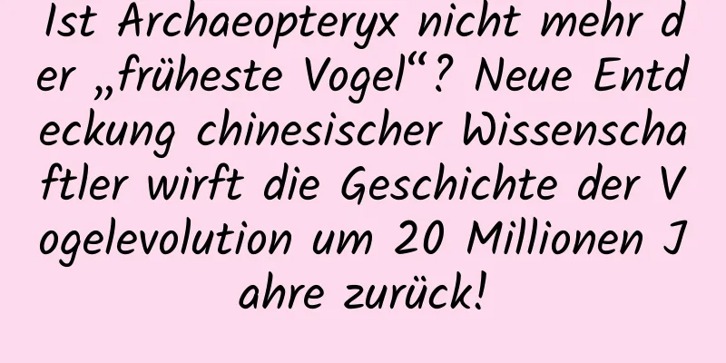 Ist Archaeopteryx nicht mehr der „früheste Vogel“? Neue Entdeckung chinesischer Wissenschaftler wirft die Geschichte der Vogelevolution um 20 Millionen Jahre zurück!