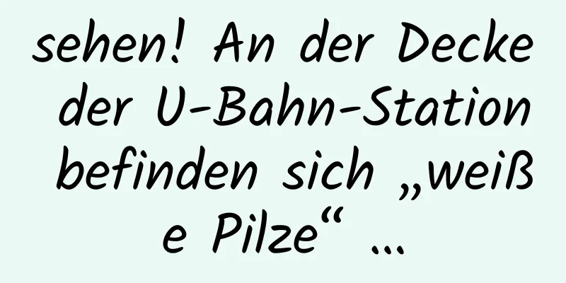 sehen! An der Decke der U-Bahn-Station befinden sich „weiße Pilze“ …