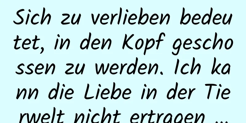 Sich zu verlieben bedeutet, in den Kopf geschossen zu werden. Ich kann die Liebe in der Tierwelt nicht ertragen …