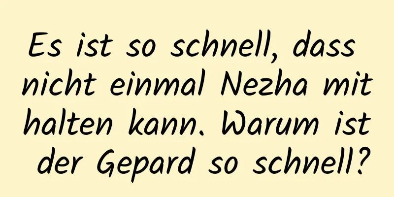 Es ist so schnell, dass nicht einmal Nezha mithalten kann. Warum ist der Gepard so schnell?