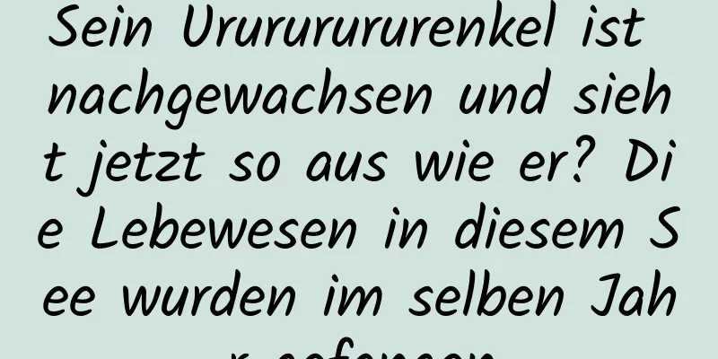 Sein Urururururenkel ist nachgewachsen und sieht jetzt so aus wie er? Die Lebewesen in diesem See wurden im selben Jahr gefangen