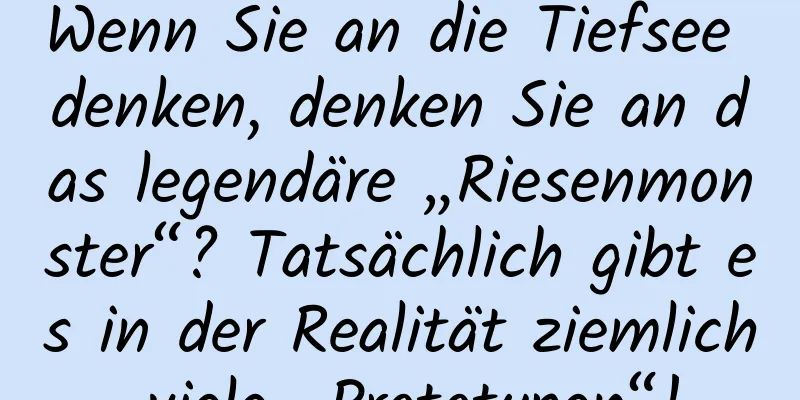 Wenn Sie an die Tiefsee denken, denken Sie an das legendäre „Riesenmonster“? Tatsächlich gibt es in der Realität ziemlich viele „Prototypen“!