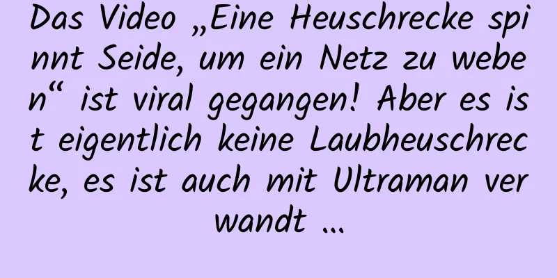 Das Video „Eine Heuschrecke spinnt Seide, um ein Netz zu weben“ ist viral gegangen! Aber es ist eigentlich keine Laubheuschrecke, es ist auch mit Ultraman verwandt …