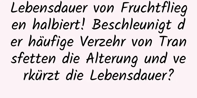 Lebensdauer von Fruchtfliegen halbiert! Beschleunigt der häufige Verzehr von Transfetten die Alterung und verkürzt die Lebensdauer?