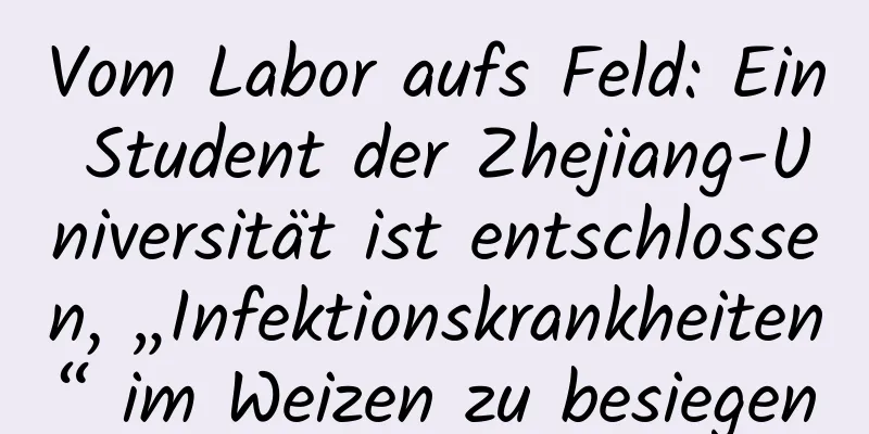 Vom Labor aufs Feld: Ein Student der Zhejiang-Universität ist entschlossen, „Infektionskrankheiten“ im Weizen zu besiegen