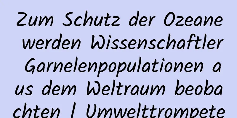 Zum Schutz der Ozeane werden Wissenschaftler Garnelenpopulationen aus dem Weltraum beobachten | Umwelttrompete