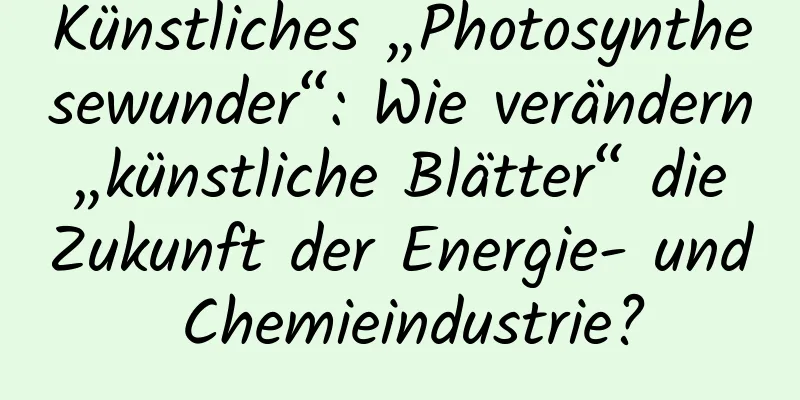 Künstliches „Photosynthesewunder“: Wie verändern „künstliche Blätter“ die Zukunft der Energie- und Chemieindustrie?