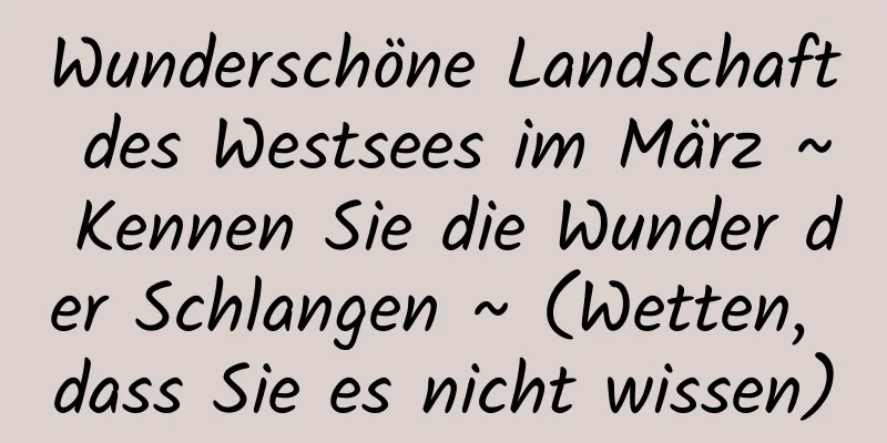 Wunderschöne Landschaft des Westsees im März ~ Kennen Sie die Wunder der Schlangen ~ (Wetten, dass Sie es nicht wissen)