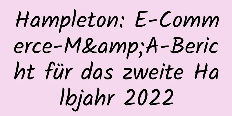 Hampleton: E-Commerce-M&A-Bericht für das zweite Halbjahr 2022