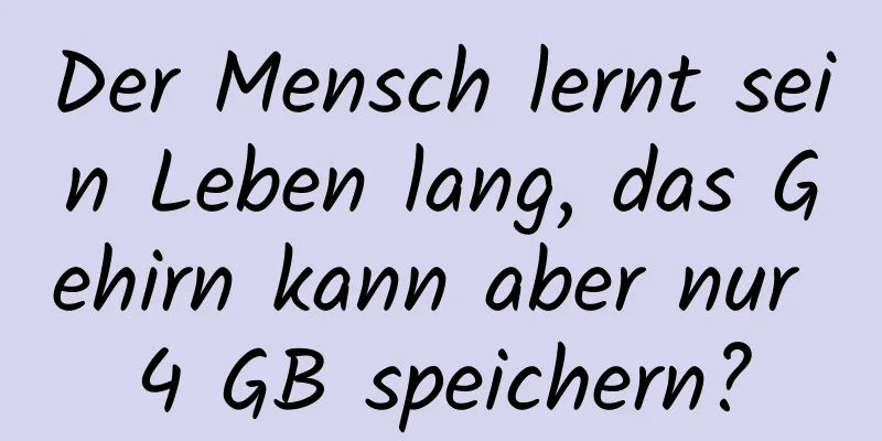 Der Mensch lernt sein Leben lang, das Gehirn kann aber nur 4 GB speichern?