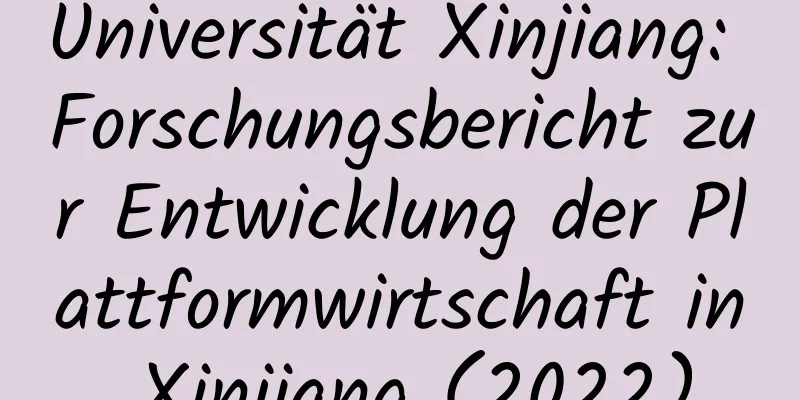 Universität Xinjiang: Forschungsbericht zur Entwicklung der Plattformwirtschaft in Xinjiang (2022)