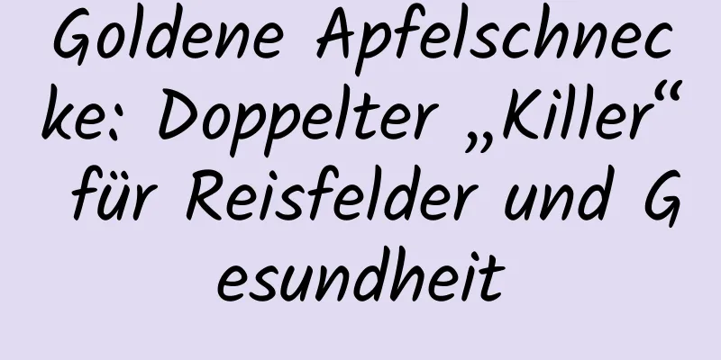Goldene Apfelschnecke: Doppelter „Killer“ für Reisfelder und Gesundheit