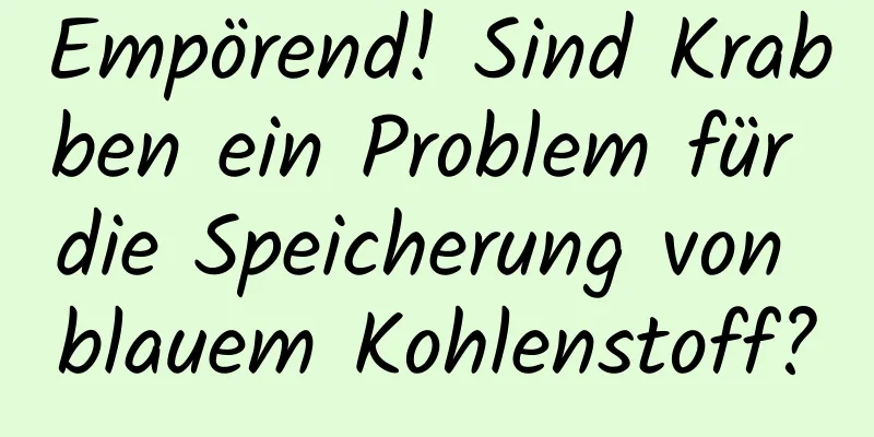 Empörend! Sind Krabben ein Problem für die Speicherung von blauem Kohlenstoff?