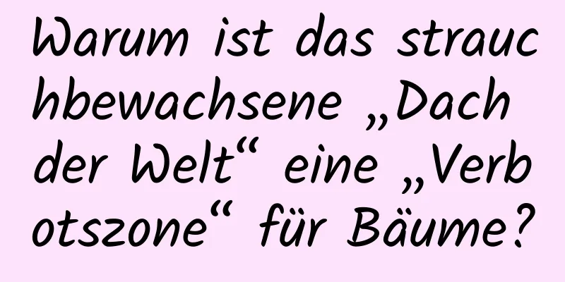 Warum ist das strauchbewachsene „Dach der Welt“ eine „Verbotszone“ für Bäume?