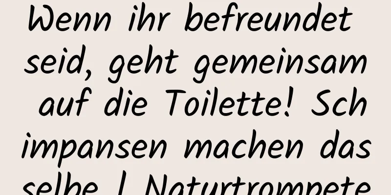 Wenn ihr befreundet seid, geht gemeinsam auf die Toilette! Schimpansen machen dasselbe | Naturtrompete