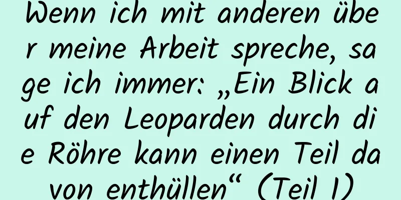 Wenn ich mit anderen über meine Arbeit spreche, sage ich immer: „Ein Blick auf den Leoparden durch die Röhre kann einen Teil davon enthüllen“ (Teil 1)