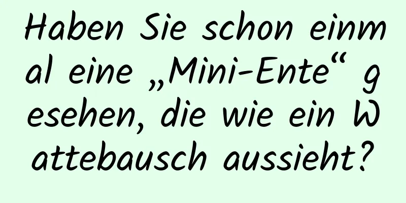 Haben Sie schon einmal eine „Mini-Ente“ gesehen, die wie ein Wattebausch aussieht?