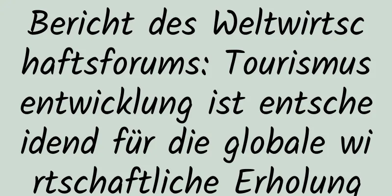 Bericht des Weltwirtschaftsforums: Tourismusentwicklung ist entscheidend für die globale wirtschaftliche Erholung