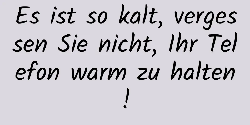 Es ist so kalt, vergessen Sie nicht, Ihr Telefon warm zu halten!