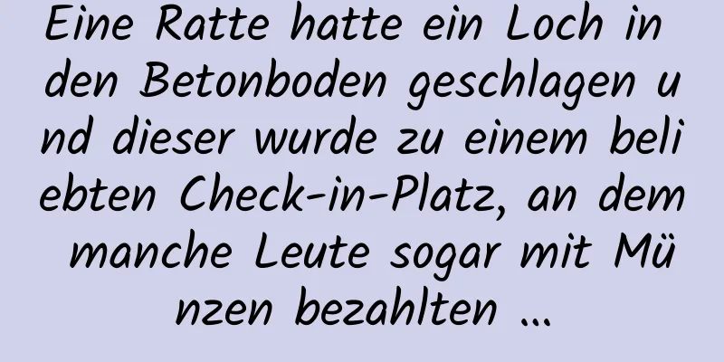 Eine Ratte hatte ein Loch in den Betonboden geschlagen und dieser wurde zu einem beliebten Check-in-Platz, an dem manche Leute sogar mit Münzen bezahlten …