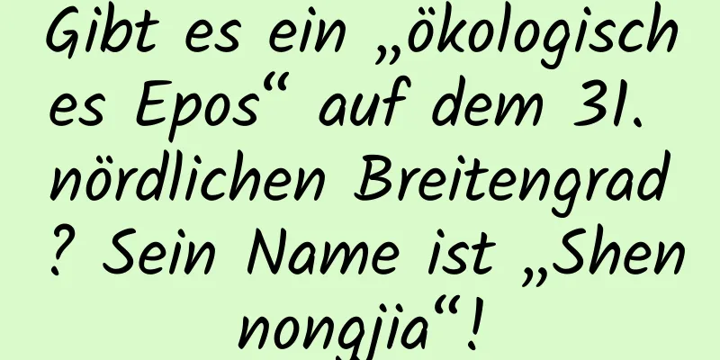 Gibt es ein „ökologisches Epos“ auf dem 31. nördlichen Breitengrad? Sein Name ist „Shennongjia“!
