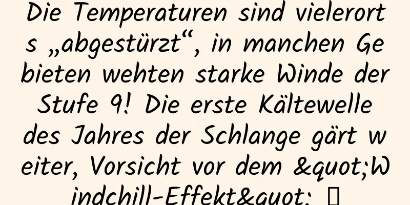 Die Temperaturen sind vielerorts „abgestürzt“, in manchen Gebieten wehten starke Winde der Stufe 9! Die erste Kältewelle des Jahres der Schlange gärt weiter, Vorsicht vor dem "Windchill-Effekt" →